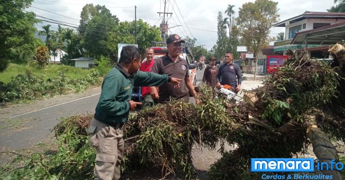 Pohon tumbang mengganggu akses jalan, diduga akibat akar...