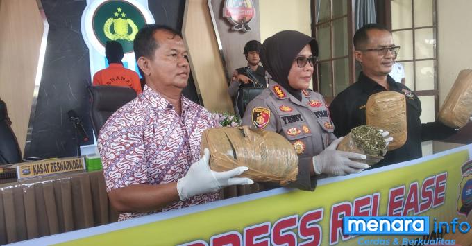 Polres Bukittinggi Ungkap Kasus Ganja  Libatkan Anak Remaja