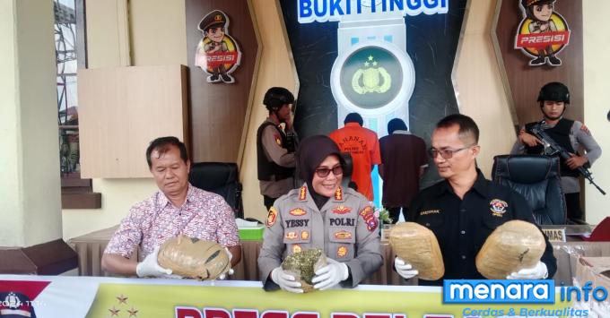 Polresta Bukittinggi Amankan 2 Tersangka Kasus Narkotika Jenis Ganja,  1 Orang Berstatus...