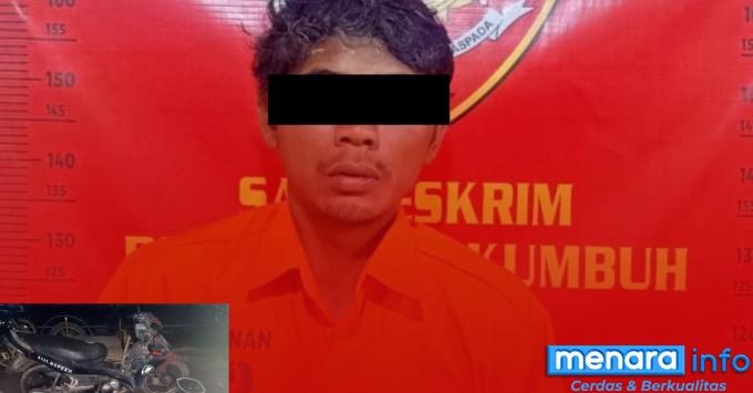 Sat Reskrim Polres Payakumbuh Bekuk Pelaku Pencurian dan Penggelapan Sepeda Motor, Ini...