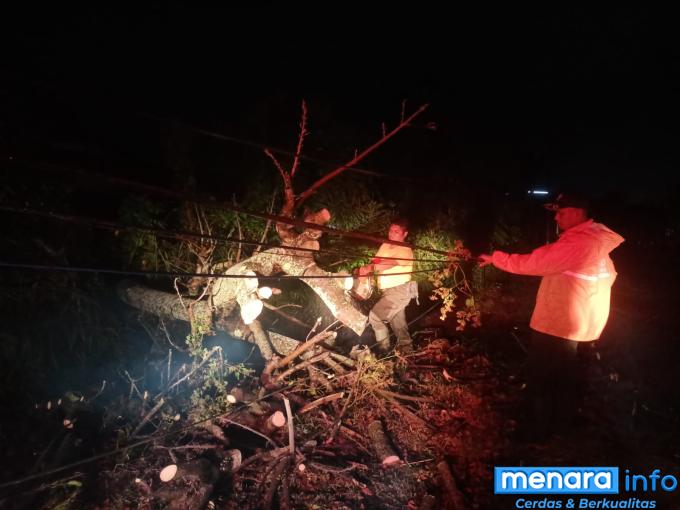 Titik Lokasi Pohon Tumbang Akibat Hujan Deras Disertai Badai