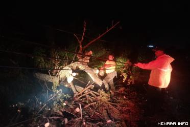 pohon tumbang akibat hujan disertai angin